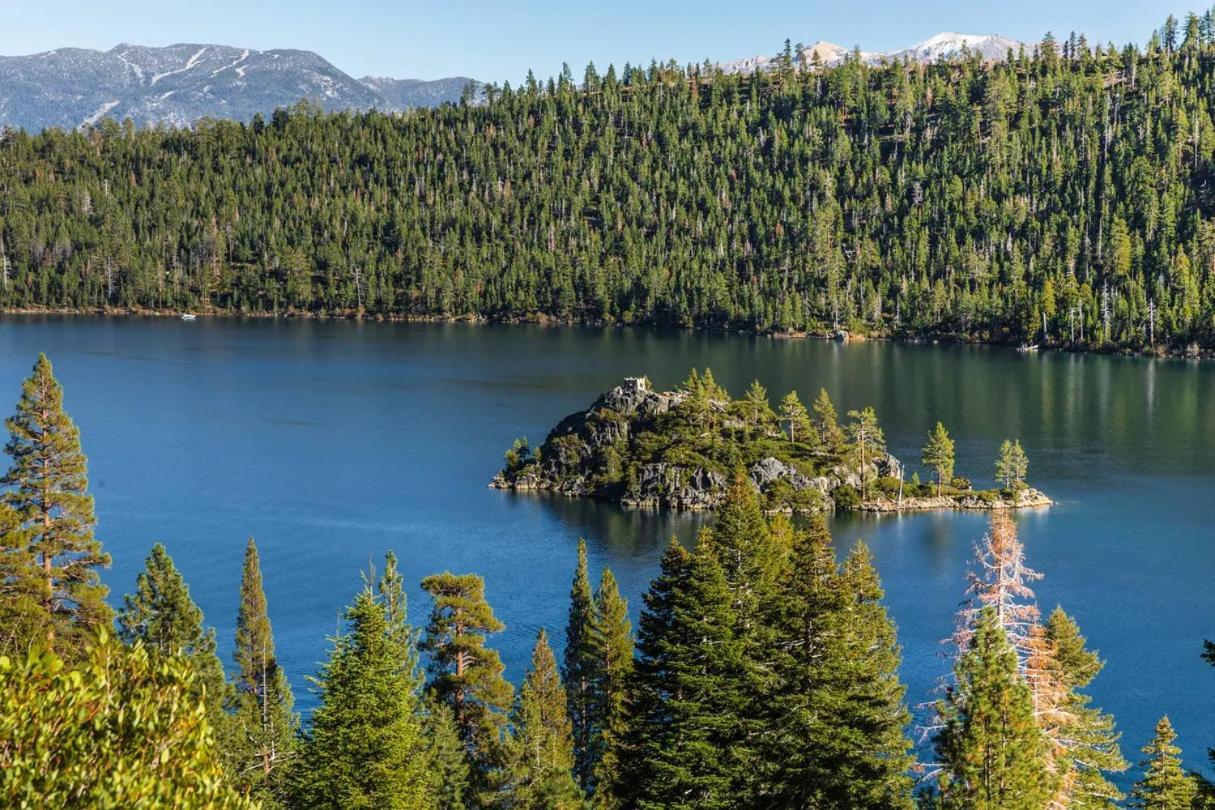 Marriott'S Timber Lodge South Lake Tahoe Eksteriør billede
